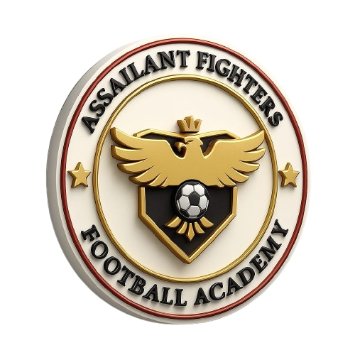 Assailant fighter academy